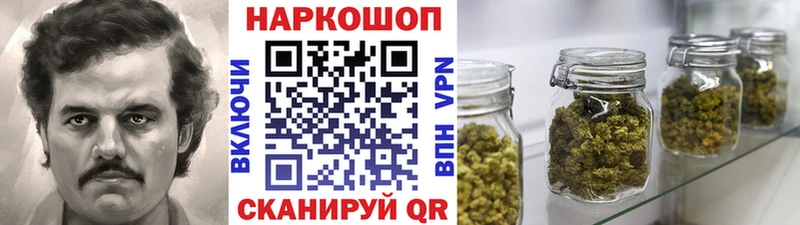 Где продают наркотики Новоржев ЭКСТАЗИ  Марихуана  Мефедрон  гидра ссылка  COCAIN  Гашиш 