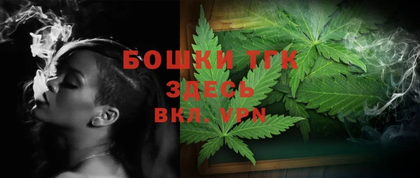 стаф Бородино