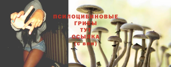 дмт Верхний Тагил