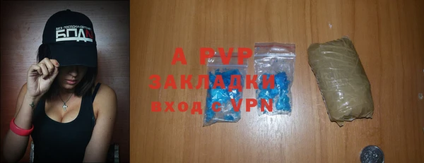 стаф Бородино
