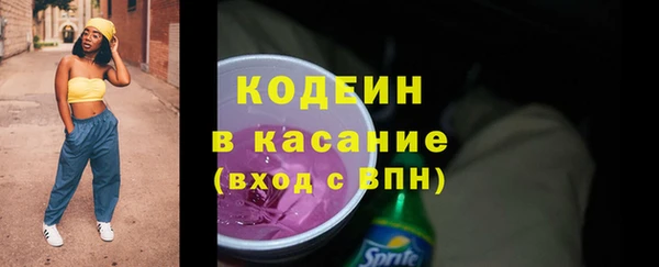 стаф Бородино