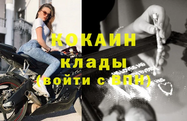 стаф Бородино