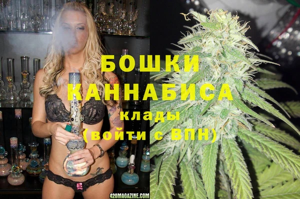стаф Бородино