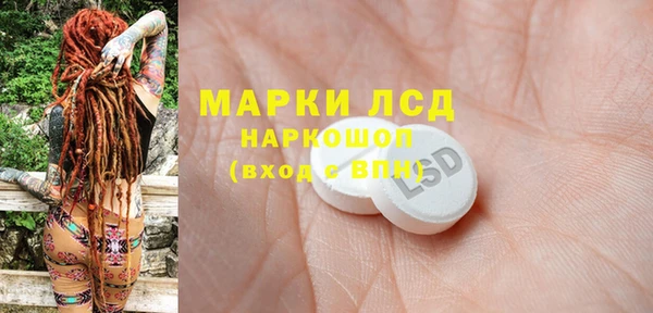 стаф Бородино