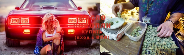 стаф Бородино