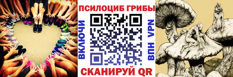 ссылка на мегу ТОР  где найти   Новоржев  Галлюциногенные грибы прущие грибы 